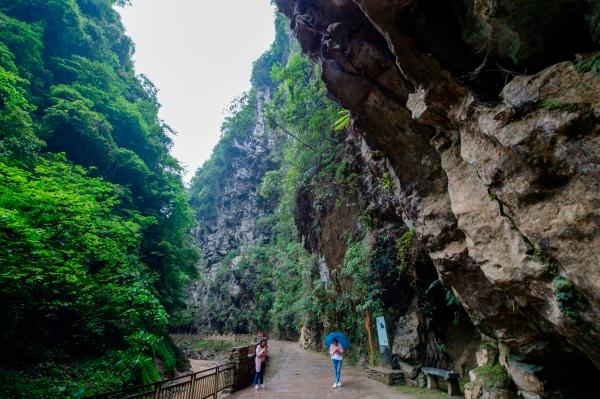 向上跳的香蕉